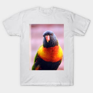 Rainbow Lorikeet T-Shirt